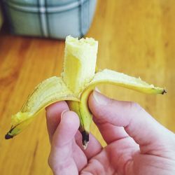 Close-up of hand holding fruit