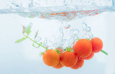 Close-up of orange fruits in water