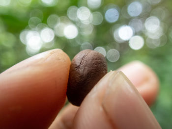 Close-up of human hand