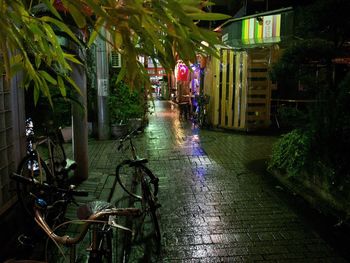 Man amidst plants and trees in water