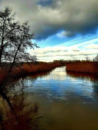 Scenic view of lake in forest against sky