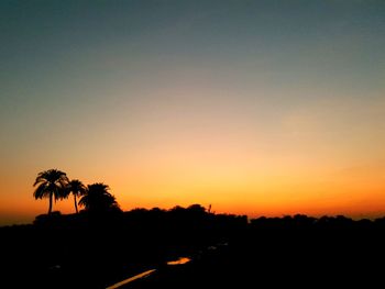 Silhouette trees against sky during sunset