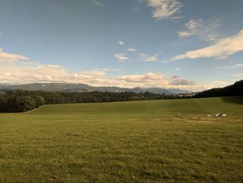 Scenic view of field against sky