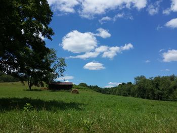 Scenic view of grassy field against cloudy sky