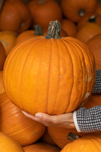 Full frame shot of pumpkins for sale at market