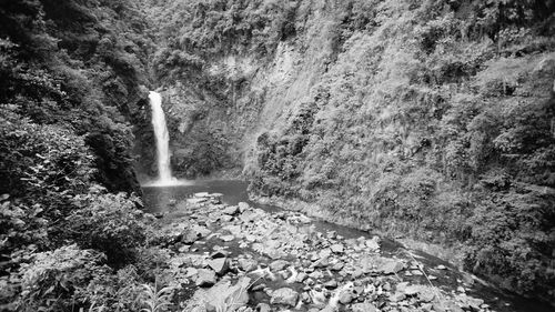 Waterfall in forest