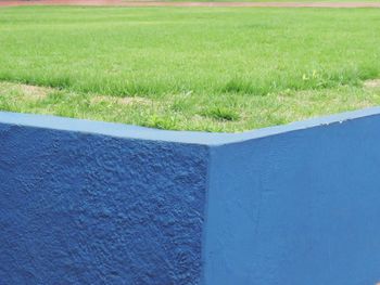 Close-up of grass on field