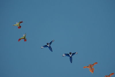 Low angle view of kites flying against clear blue sky