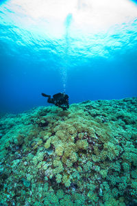 Man swimming in sea