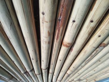 Full frame shot of bamboo