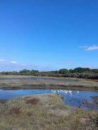 Scenic view of lake against blue sky