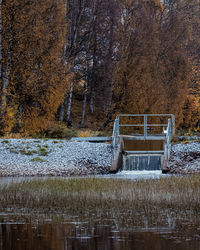 Scenic view of lake in forest during autumn