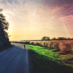 Road passing through field