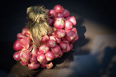 High angle view of woman with pink flower