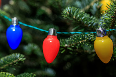 Close-up of christmas decoration hanging on tree