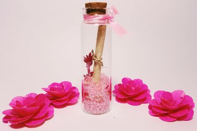 Close-up of flowers on white background