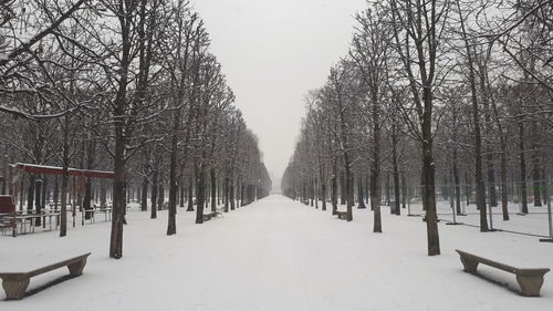 Snow covered bare trees against sky