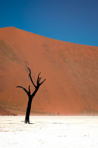 Scenic view of desert against clear sky