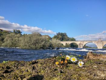 Scenic view of river against cloudy sky