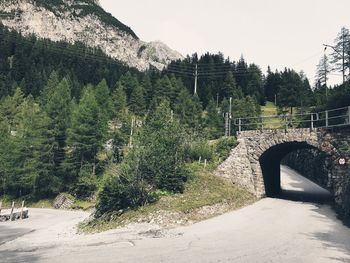 Arch bridge amidst trees against sky