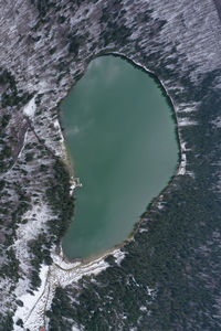 Aerial view of beach