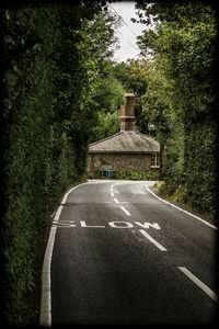 Road along trees