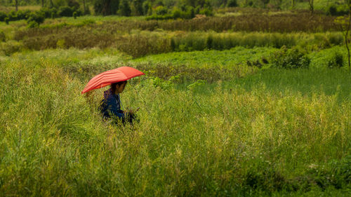 Woman with red umbrella amidst plants on field