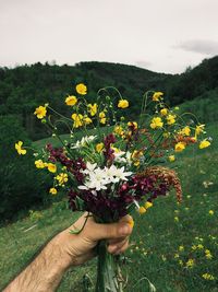 Person holding flowering plant in field