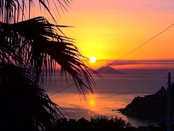 Silhouette trees by sea against orange sky