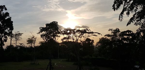 Silhouette trees on field against sky during sunset