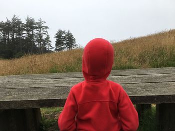 Rear view of boy against trees against clear sky