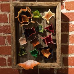 Close-up of flowers on brick wall