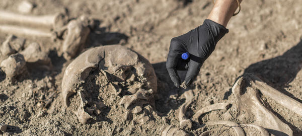 Ancient burial site- archaeological excavations