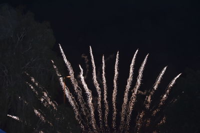 Low angle view of firework display at night