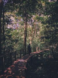 Footpath amidst trees in forest during autumn