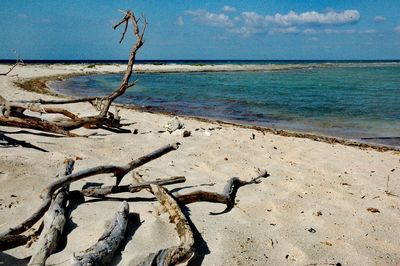 Scenic view of beach against sky