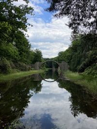 Panoramic view of waterfall in forest