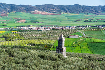 High angle view of agricultural field