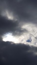 Low angle view of silhouette airplane flying in sky