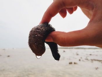 Close-up of hand holding sand at beach