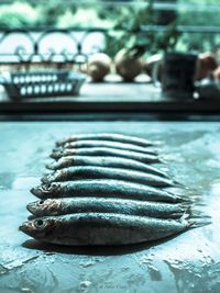 Dead fish arranged on table