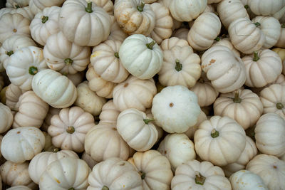 A pile of small white pumpkins in a wooden box in a farmer's market filling the frame