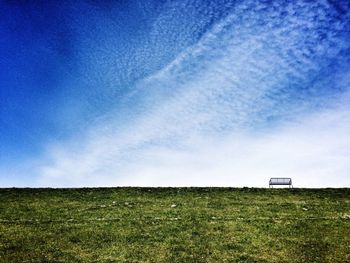 Scenic view of grassy field against blue sky