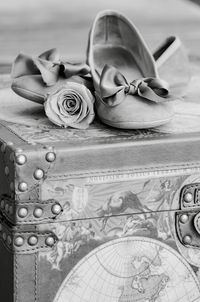 Close-up of rose