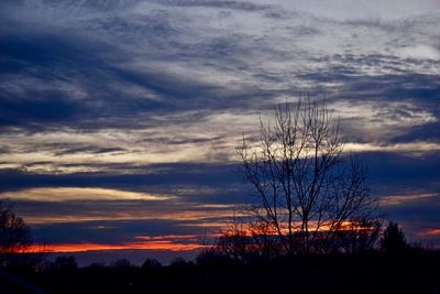 Silhouette bare tree against sky during sunset