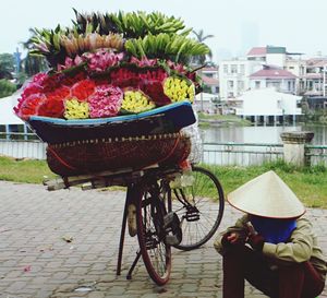 Close-up of flowers in basket