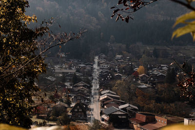 High angle view of trees and buildings in city