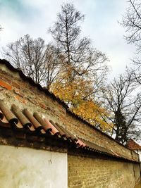 Low angle view of bare trees against sky