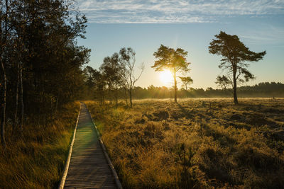 Walkway amidst trees on field against sky during sunset