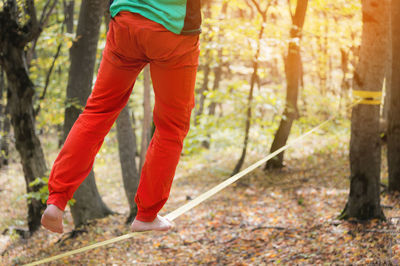 Slacklining. legs of balancing barefoot man in autumn forest